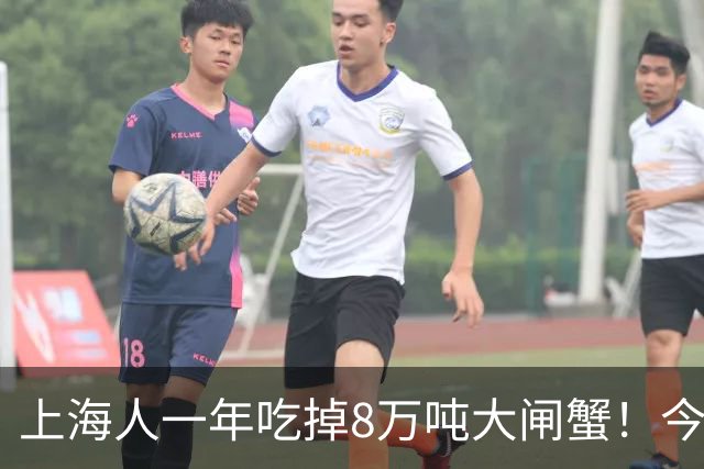 上海人一年吃掉8万吨大闸蟹！今年降价了，“吃蟹自由”能实现吗？专家：普通蟹和精品蟹差距在营养和风味