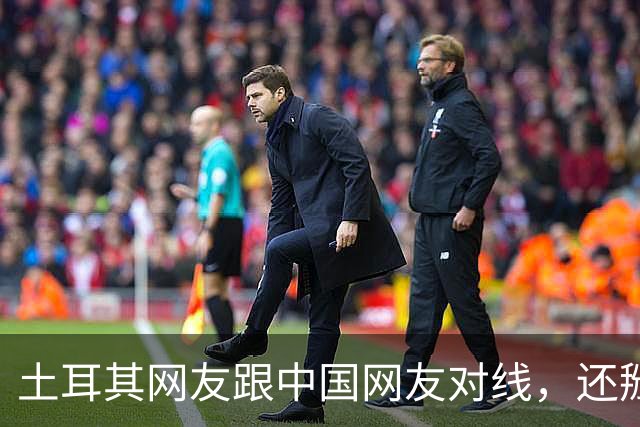 土耳其网友跟中国网友对线，还掰扯突厥人历史，他们怎么敢的？